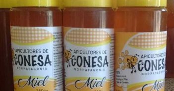 Sala de Extracción de Miel Municipal de General Conesa