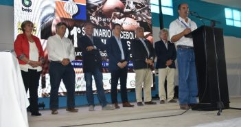 La cebolla crece desde el pie, capa sobre capa